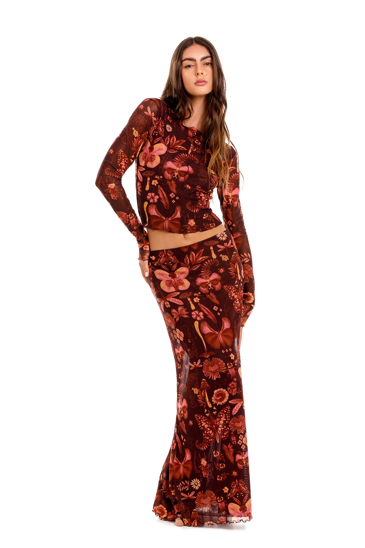 Falda Brace - Image 4